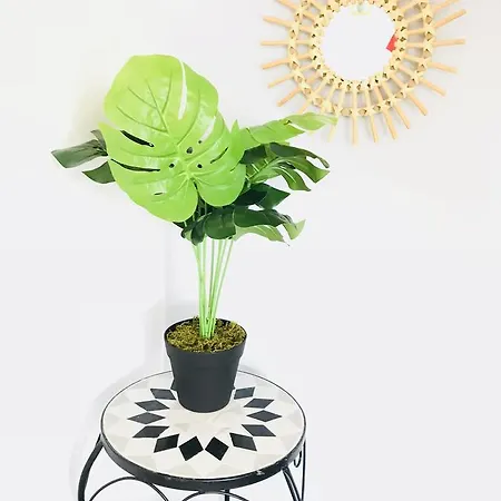 Vakantiehuis Cosyhome Site Du Futuroscope