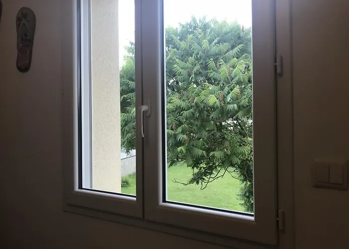 Cosyhome Site Du Futuroscope