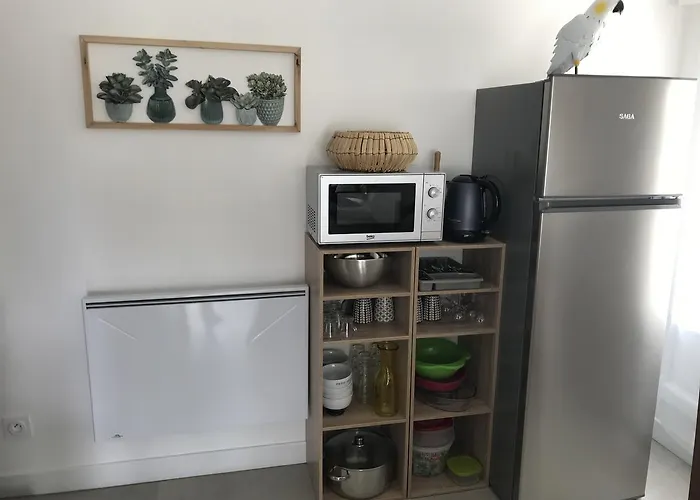 Cosyhome Site Du Futuroscope