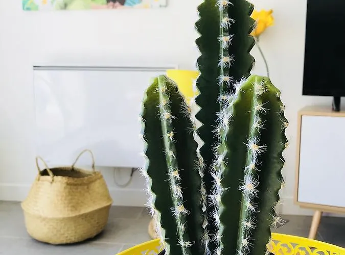 Casa de Férias Cosyhome Site Du Futuroscope *